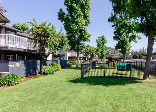 our apartments have a fenced in yard with trees at Aspire Redlands, California