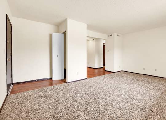 Carpeted Living Area at Indian Ridge Apartments, Iowa, 52807