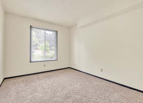 A room with a window and carpeted floor. at Indian Ridge Apartments, Iowa, 52807