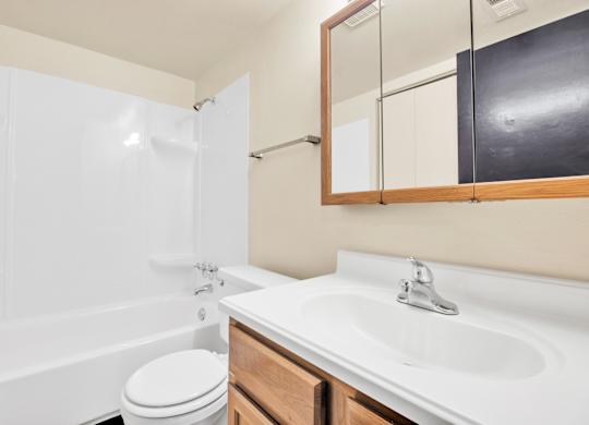 Bathroom With Bathtub at Indian Ridge Apartments, Davenport