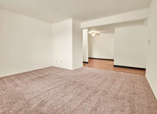 Lush Wall-To-Wall Carpeting In Bedrooms at Indian Ridge Apartments, Davenport