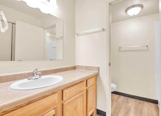 Bathroom With Storage at Indian Ridge Apartments, Davenport