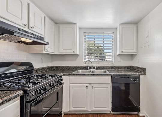 A kitchen with a black stove top oven and a black dishwasher.