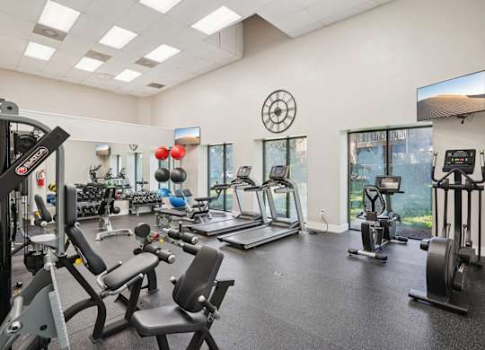 A spacious gym with a variety of equipment including treadmills, stationary bikes, and weight machines.