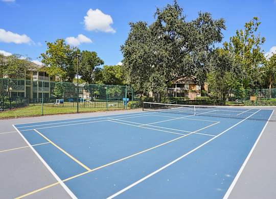 A tennis court surrounded by a fence and trees.