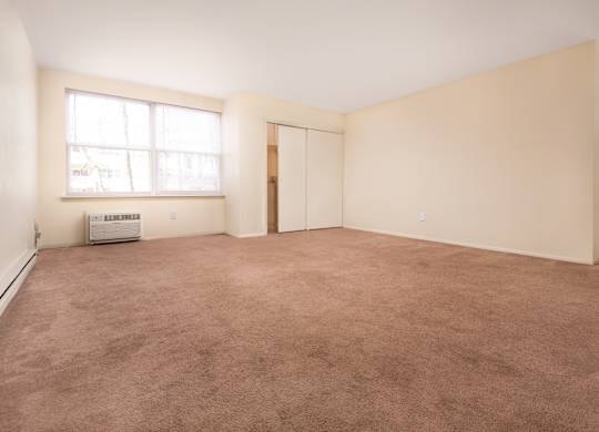 A room with a brown carpet and white walls.