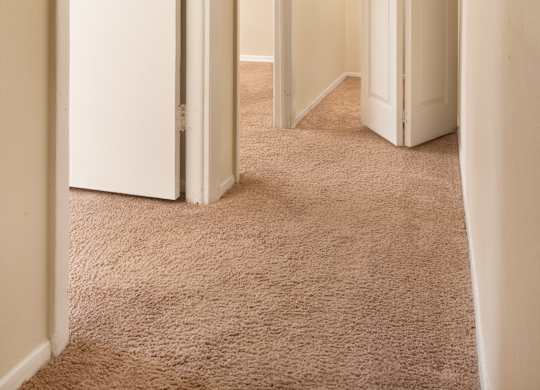 A hallway with carpeted floors and white doors.