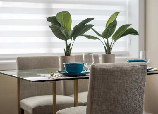 A dining table with two chairs and a potted plant.
