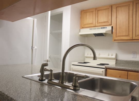 an empty kitchen with a sink and a faucet at Sunscape Apartment Homes, Tampa, 33613