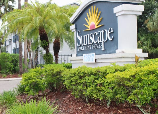 a sign for the sunshine apartments in front of palm trees at Sunscape Apartment Homes, Tampa, FL, 33613