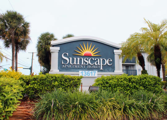 a sign for the suncafe apartment homes in front of palm trees at Sunscape Apartment Homes, Florida, 33613