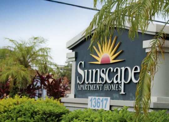 a sign for the suncafe apartments entrance with palm trees at Sunscape Apartment Homes, Florida