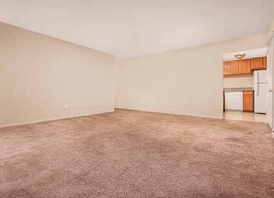 Empty room with carpeted floor and white walls.