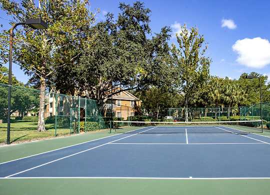 A tennis court surrounded by trees and a fence.