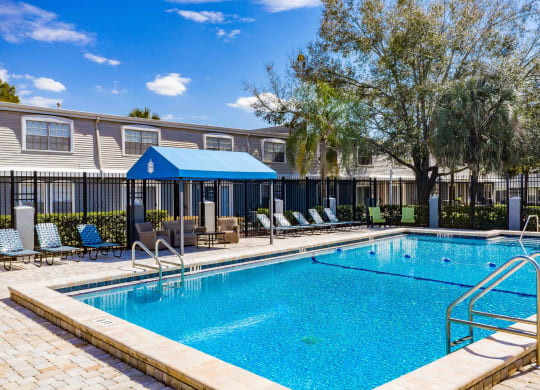 the swimming pool at our apartments  at The Park at Chesterfield Apartment Homes, Tampa, Florida