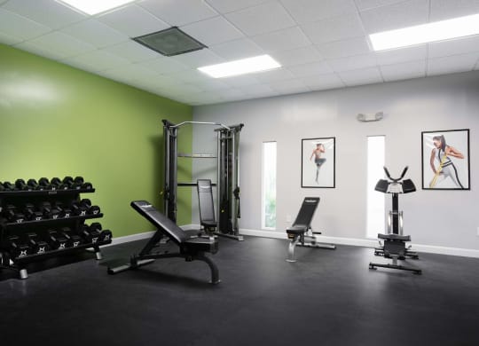 the gym has plenty of equipment and paintings on the wall  at The Park at Chesterfield Apartment Homes, Tampa, FL