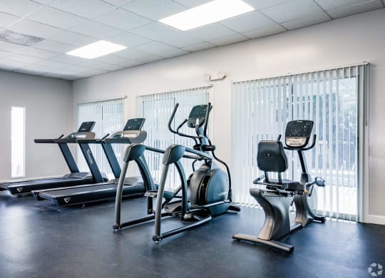 the gym has cardio equipment and treadmills  at The Park at Chesterfield Apartment Homes, Tampa, FL