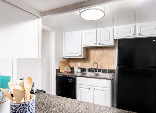 a kitchen with a black refrigerator and a sink  at The Park at Chesterfield Apartment Homes, Tampa, Florida