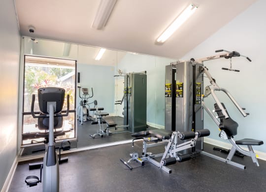 a gym with weights and mirrors and a window  at Fisherman's Landing Apartment Homes, Florida