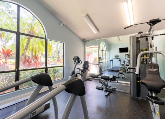 a gym with weights and cardio equipment and large windows  at Fisherman's Landing Apartment Homes, Florida, 33637
