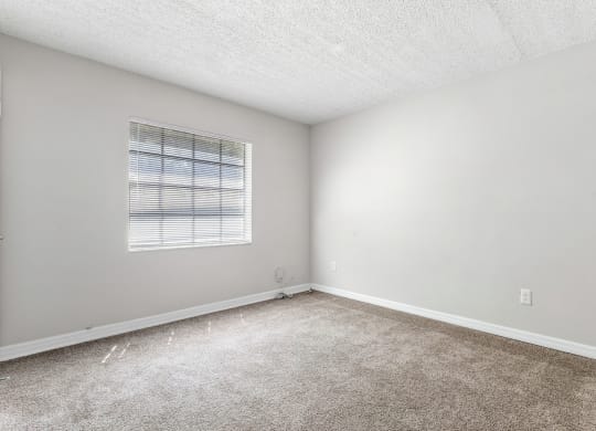 an empty room with carpet and a window at Greenwich Commons Apartment Homes, Tampa, Florida