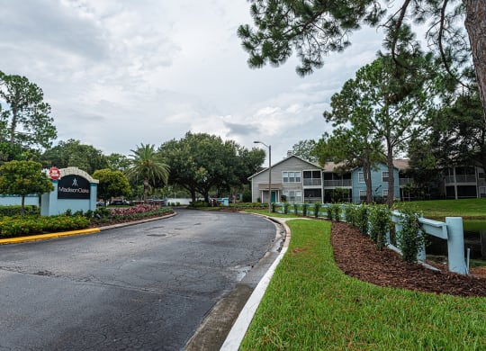 a street in a neighborhood with houses and trees at Madison Oaks Apartment Homes, LLC, Palm Harbor, FL