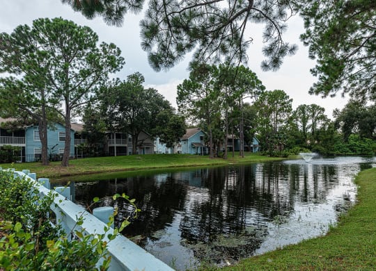 the pond in front of the apartments is surrounded by trees at Madison Oaks Apartment Homes, LLC, Palm Harbor, FL 34684