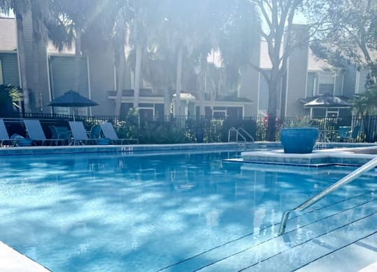 a swimming pool with a bunch of chairs in it at Madison Oaks Apartment Homes, LLC, Palm Harbor, FL 34684