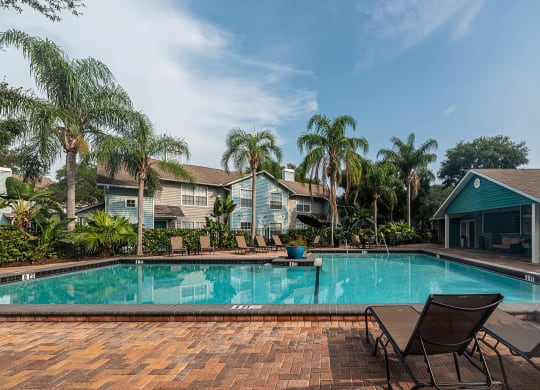 a swimming pool with chairs and palm trees in front of a house at Madison Oaks Apartment Homes, LLC, Palm Harbor, 34684