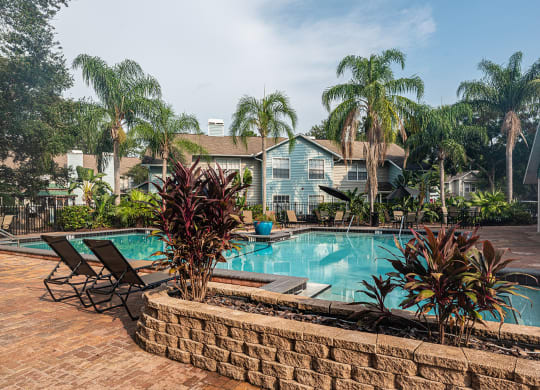 a swimming pool with palm trees in front of a house at Madison Oaks Apartment Homes, LLC, Florida, 34684