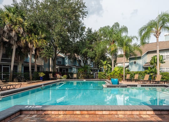 a swimming pool with palm trees in front of apartment buildings at Madison Oaks Apartment Homes, LLC, Florida
