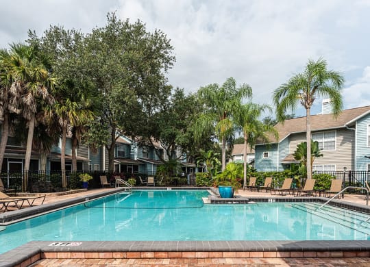 a swimming pool with palm trees in front of apartment buildings at Madison Oaks Apartment Homes, LLC, Palm Harbor, FL
