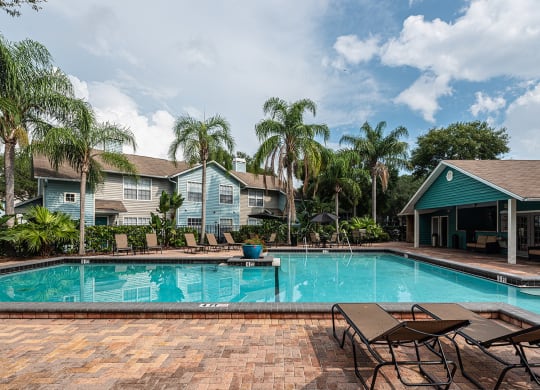 the swimming pool at our apartments at Madison Oaks Apartment Homes, LLC, Palm Harbor, 34684
