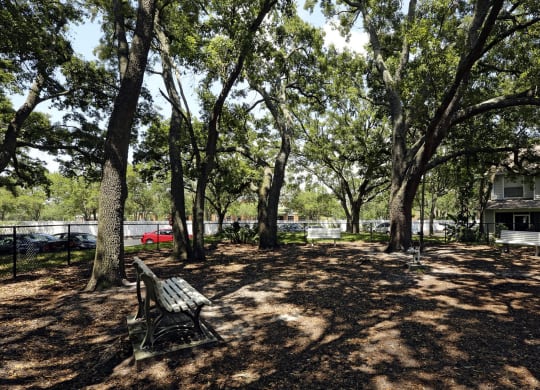 a picnic area with a bench and trees at Madison Oaks Apartment Homes, LLC, Palm Harbor Florida