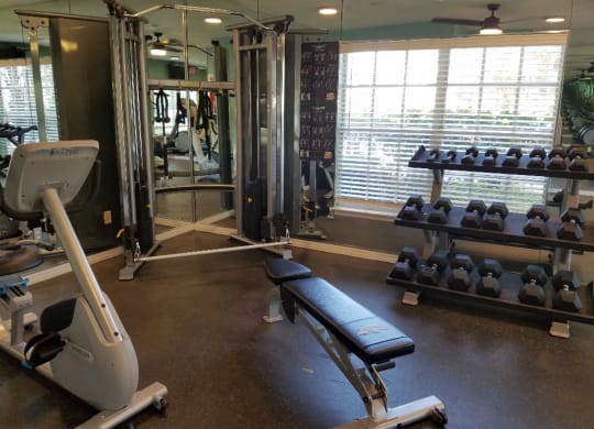 the gym is equipped with weights and cardio equipment at Madison Oaks Apartment Homes, LLC, Palm Harbor Florida