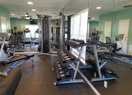a gym with weights and other exercise equipment at Madison Oaks Apartment Homes, LLC, Palm Harbor, 34684
