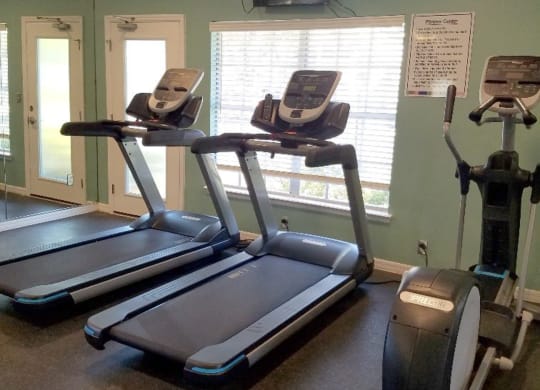 a row of treadmills in a gym with a window at Madison Oaks Apartment Homes, LLC, Palm Harbor