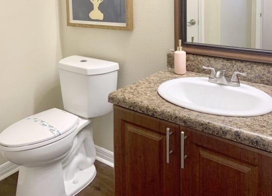 a bathroom with a sink toilet and a mirror at Madison Oaks Apartment Homes, LLC, Palm Harbor, FL 34684