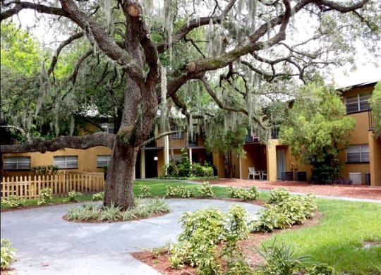 a courtyard with a tree and a building in the background at Oak Manor Apartment Homes, Tampa, FL, 33617