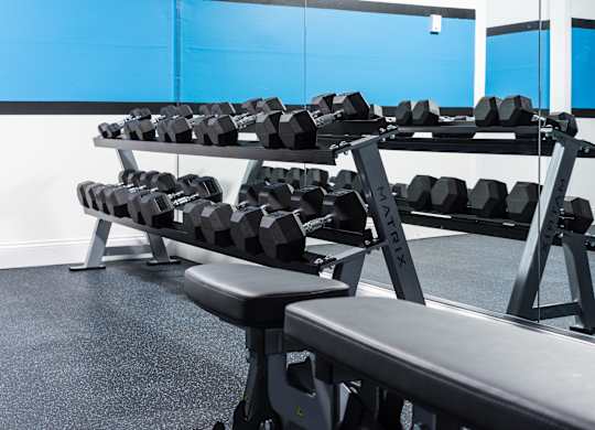 A gym with a bench, weights, and mirrors.
