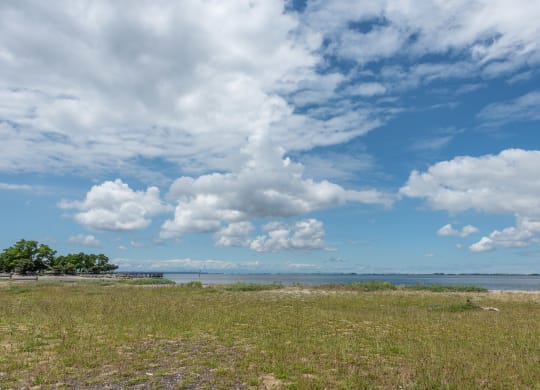 a grassy field with a body of water in the background
