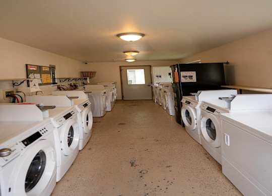 A laundry room with a row of washing machines.