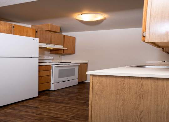 A kitchen with a white refrigerator and wooden cabinets.
