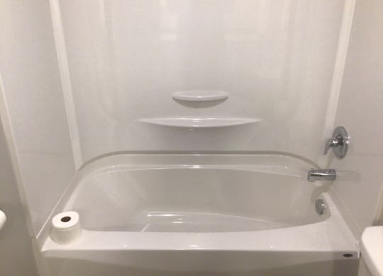 a bathroom with a toilet paper roll on the edge of the tub