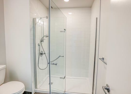 a bathroom with a shower and a toilet