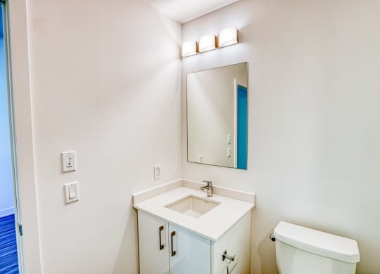 a bathroom with a sink and a mirror and a toilet