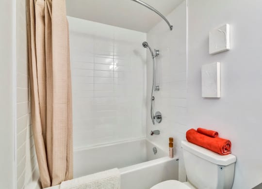 a bathroom with a shower and a toilet