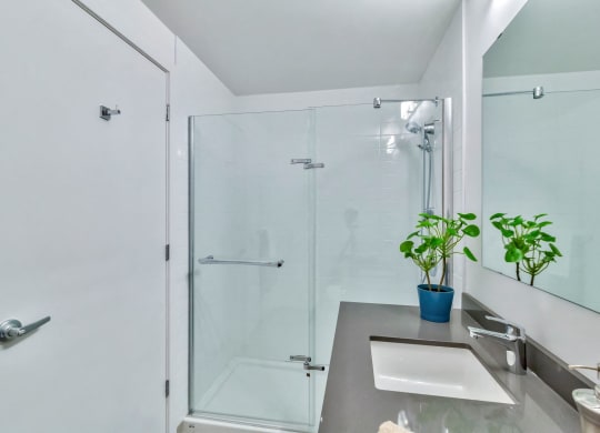 a bathroom with a shower and a sink and a plant