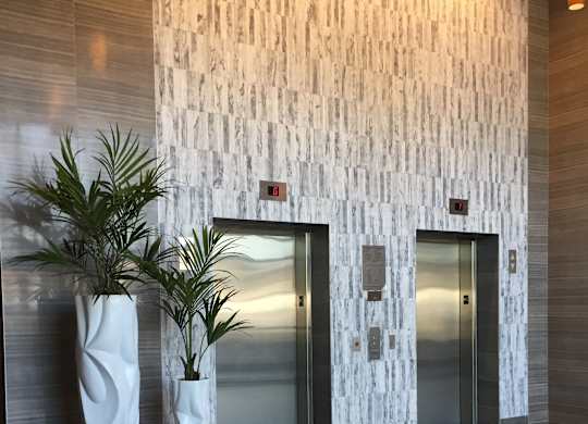 a lobby with two potted plants in front of the elevators