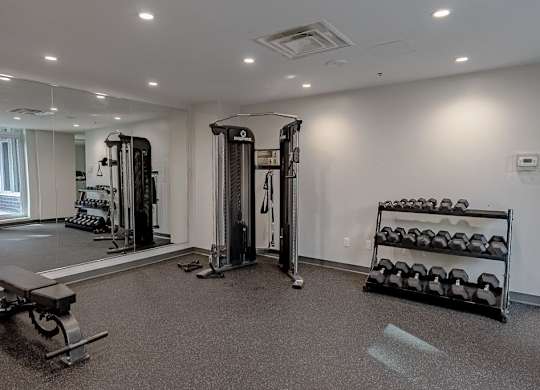 the gym is fully equipped with weights and cardio equipment